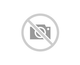 Lipo Detox 60 Doses Lipo Detox 60 Doses