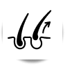 icon-fios